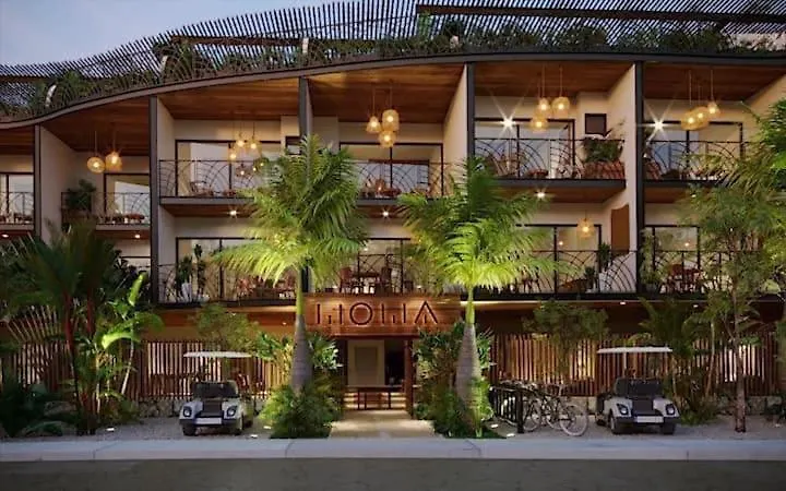 Moma Tulum
